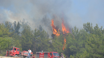 Manisa'da iki ilçede orman yangını