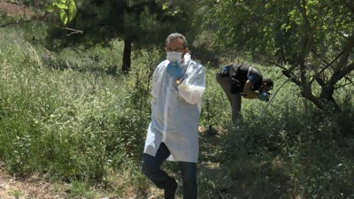 Tarla kenarında karton kutuda bebek cesedi bulundu