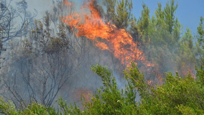 Antalya'da orman yangını. 15 dekar alan yandı