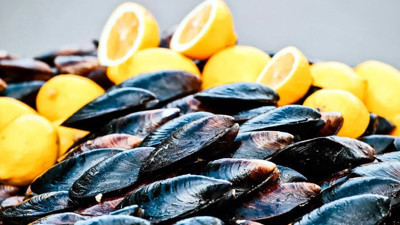 Midye severler dikkat. Yeni haber geldi