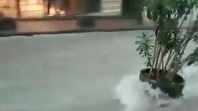 Nişantaşı’nın karizması çizildi. Saksının caddede gidişi tarihe geçti