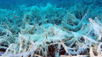 Yüzey temizlendi sanma denizin dibi öldü