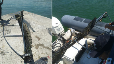 Karadeniz'de kaçak avcılık operasyonu