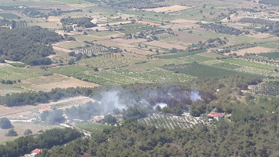 Bozcaada'da ormanlık alanda yangın