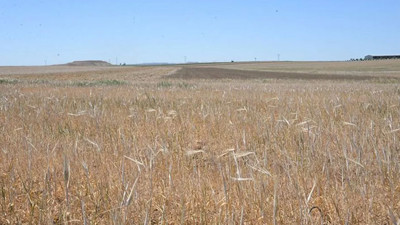 Meteoroloji'den korkutan Haziran raporu