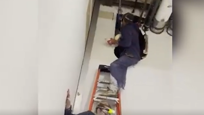 Lüks AVM'de yılan paniği