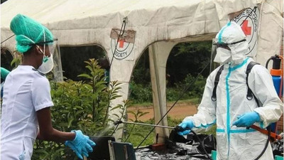 Afrika'da kritik vaka artışı devam ediyor