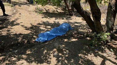 Kayısı toplamaya diye çıktı ölü bulundu