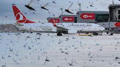 İstanbul Havalimanı’nı istila ettiler. Uçaklar pisti pas geçti