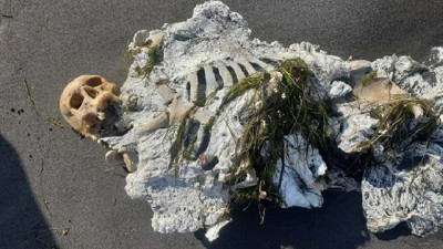 Samsun'da iskelet sahile vurdu