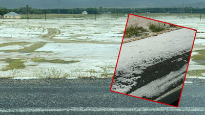 Erciş'te temmuz karı