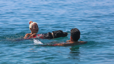 Sokak köpeği hayat kurtaracak