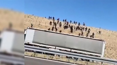 Niğde'de otobanın kenarındaki araziye yüzlercesi indirildi. Göç tehlikesi yok denilmişti