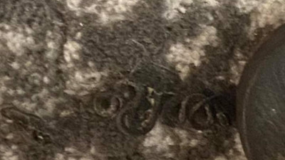 Yatağının yanında gördü gözleri yuvasından fırladı