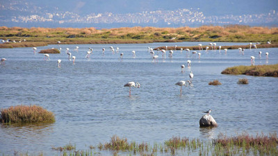 Tuz Gölü'nün ardından bu defa Gediz Deltası! Korkutan manzara