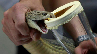 Yılan zehrinden yaptılar. 45 saniyede durduruyor. Sadece ışık tutmak yeterli