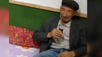 Koyunlarını yolun karşısına geçirirken, araç çarpmasıyla öldü