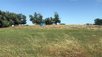 Tekirdağ'da arı saldırısı: 1 ölü