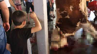 Çocuklara kurban kesimini izlettiler