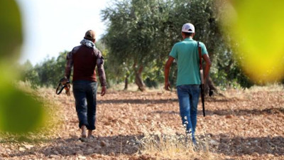 Eller tetikte 'yeşil altın' nöbeti