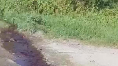 Derelerden baraja aktı