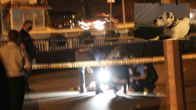 Köpeğini gezdirdiği sırada ensesinden vurularak öldürüldü