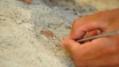 Kemalpaşa ilçesinde 10 bin yılından kalma Kemalpaşa tatlısı bulundu