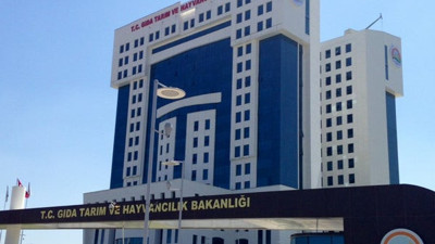Fındıktaki oyunun perde arkası... Tarım Bakanlığı'nı yöneten küresel firma ortaya çıktı
