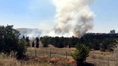 Atatürk Orman Çiftliği'nde yangın