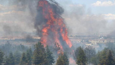 Atatürk Orman Çiftliği nasıl yandı?