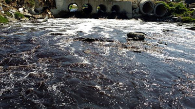 Ergene Marmara'ya zehir boşaltıyor