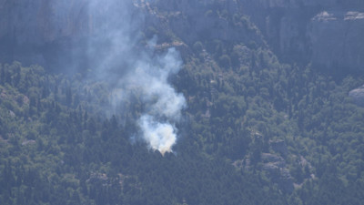 Adana'da orman yangını