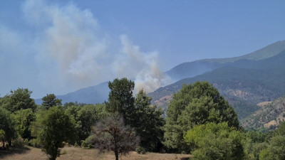 Kütahya'da orman yangını çıktı