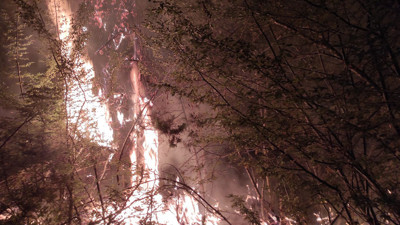 Kahramanmaraş'ta yangın kontrol altına alındı