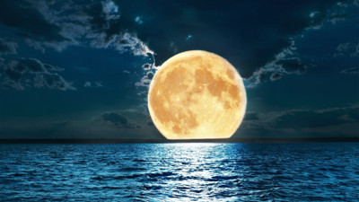 Kassandra orman yangınlarını gördü yeni öngörüleri korku saçtı