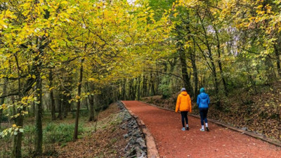 31 ilde ormanlara giriş yasaklandı