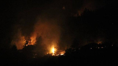 Hatay'da çıkan orman yangınına müdahale ediliyor
