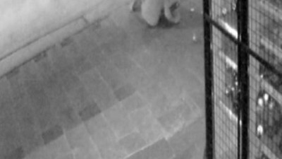 Niğde'de trajikomik anlar