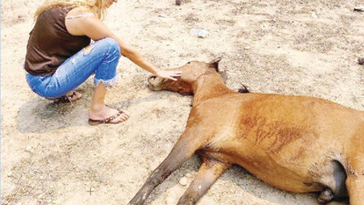 Tuğba Özay 2. kez kahroldu