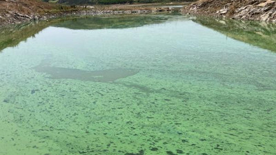 Sazlıdere Barajı'nın yeşile dönen rengi tedirgin etti