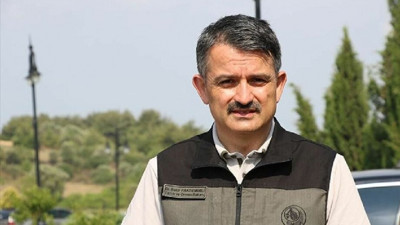 Bakan Pakdemirli yangınlarda sorumluluğu belediyelere attı