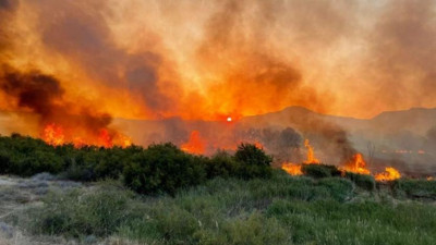 Ankara Nallıhan Kuş Cenneti'nden alevler yükseldi