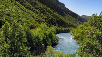 Tunceli'de ormanlara giriş yasaklandı