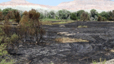 Yangında suçluyu buldular; Kuşlarmış…Yerseniz. Elektrik trafosunda kontak yapmışlar