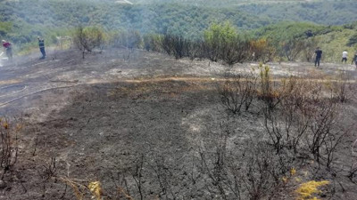 Zonguldak’ta 1 dönüm orman alanı yandı