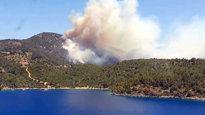 Yanan yerler satışa çıkarıldı iddiası! Muğla'da neler oluyor bu ilanlar da neyin nesi?