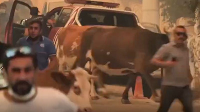 Kanal sahipleri özel hatla aranıp tehdit edildi iddiası! İşte televizyonların yayınlamadığı görüntüler...