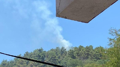 Beykoz'da ormanlık alanda yangın