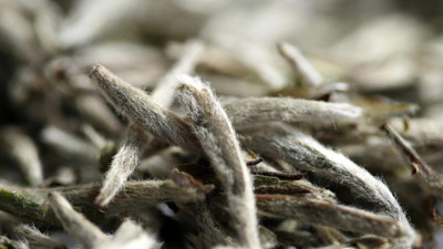 Pandeminin gözdesiydi stokları tamamen tükendi