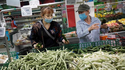 Marul almak isterken zengin oldu